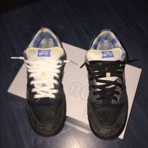 Nike SB Blue Lobster Dunk - Picture 3 of 16